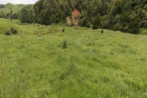 Photo of property in 795 Matahuru Road, Waiterimu, 3784