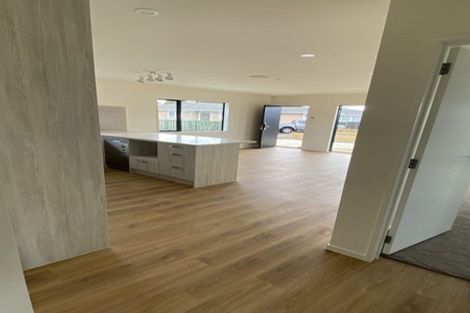 Photo of property in 24 Royal Arch Place, Rosehill, Papakura, 2113