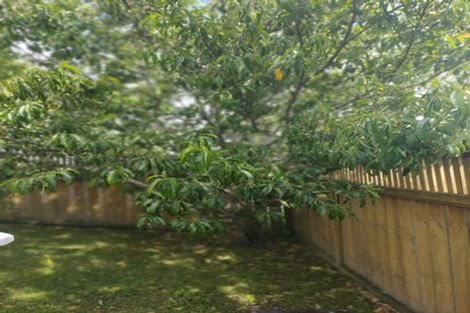 Photo of property in 1/175 Mitchell Street, Brooklyn, Wellington, 6021