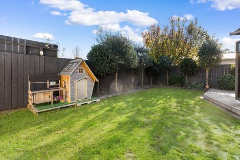 Photo of property in 5 Morton Place, Leamington, Cambridge, 3432