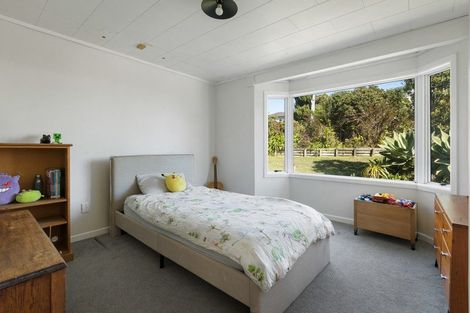 Photo of property in 217 Tony Avenue, Thames, 3500