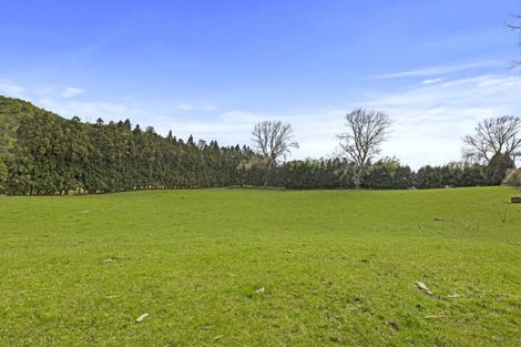 Photo of property in 24 Eagle Street, Welcome Bay, Tauranga, 3112