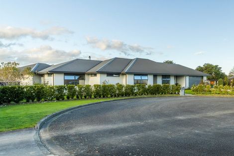 Photo of property in 10 Hanalin Drive, Marton, 4710