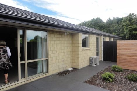 Photo of property in 12c Walpole Street, Waltham, Christchurch, 8023