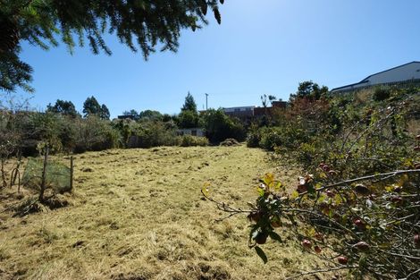 Photo of property in 10 Sanday Street, Palmerston, 9430