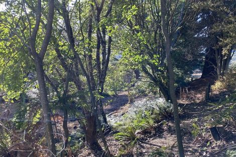 Photo of property in 73 Orokonui Road, Waitati, 9085