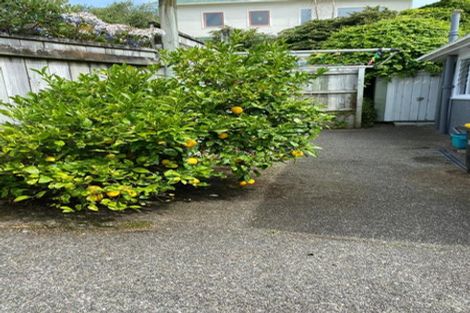 Photo of property in 60 Creswick Terrace, Northland, Wellington, 6012