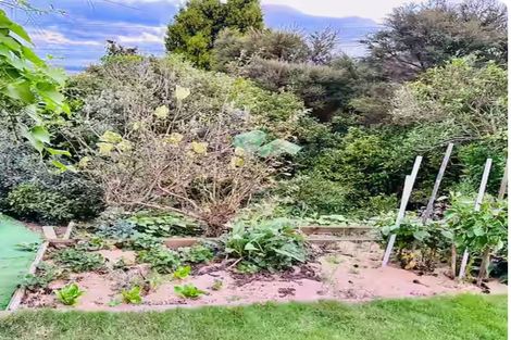 Photo of property in 1 Hoskins Avenue, Hillsborough, Auckland, 1042