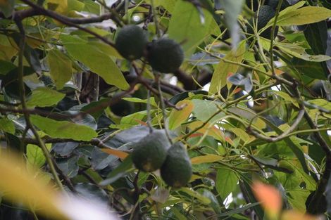 Photo of property in 1 Journeys End, Tapora, Wellsford, 0977