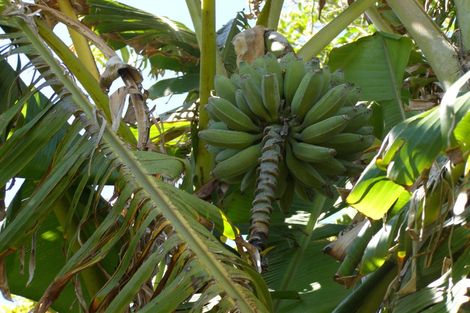 Photo of property in 1 Whakaari Road, Waiotahe, Opotiki, 3198