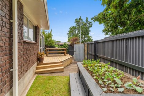 Photo of property in 50a Andrew Place, Otumoetai, Tauranga, 3110