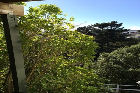 Photo of property in 39 Norwich Street, Wilton, Wellington, 6012