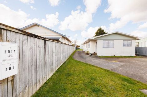 Photo of property in 101 Shamrock Street, Takaro, Palmerston North, 4412