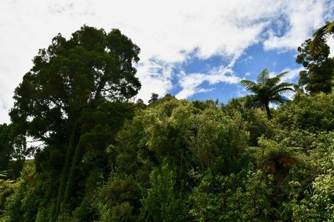 Photo of property in 216 Kongahu Swamp Road, Little Wanganui, Karamea, 7893