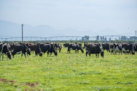 Photo of property in 282 Sharlands Road, Dunsandel, Rakaia, 7783