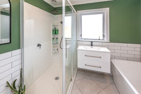 Photo of property in 113 Purnell Street, College Estate, Whanganui, 4500