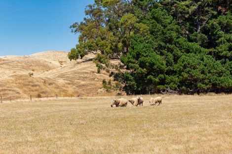 Photo of property in 189 Gulch Road, Ward, Seddon, 7285