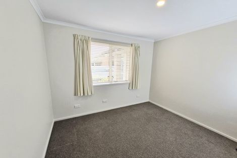 Photo of property in 217b Maungatapu Road, Maungatapu, Tauranga, 3112