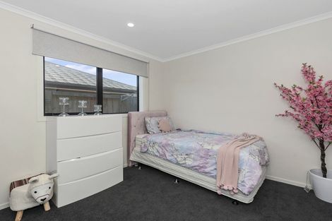 Photo of property in 31 Benjamin Avenue, Rototuna North, Hamilton, 3210