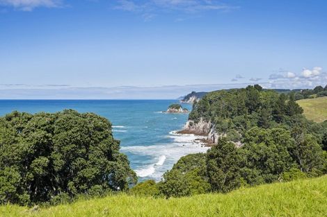 Photo of property in 339 Onemana Drive, Onemana, Whangamata, 3691