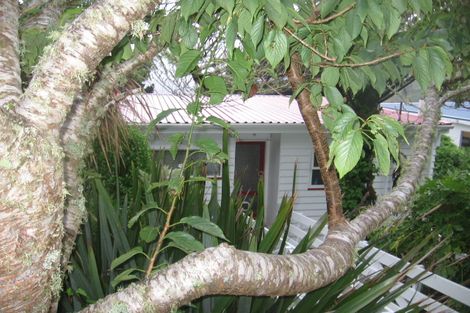 Photo of property in 47a Huntingdon Street, Northland, Wellington, 6012