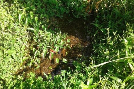 Photo of property in 45b Blue Gum Lane, Kerikeri, 0293