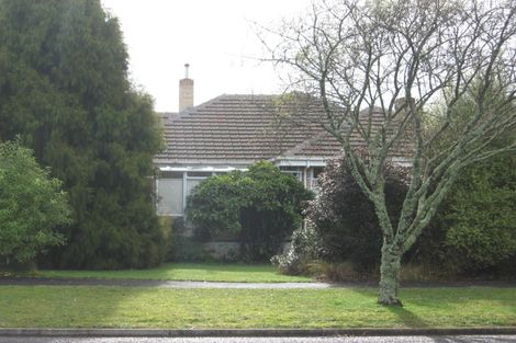 Photo of property in 17 Bailey Avenue, Claudelands, Hamilton, 3214