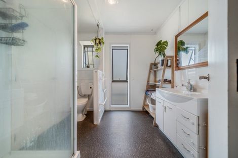 Photo of property in 17 Lethborg Street, Dinsdale, Hamilton, 3204