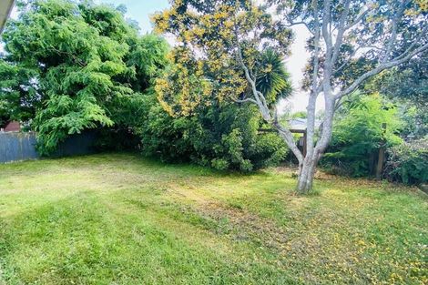 Photo of property in 19 Mcquarrie Avenue, Wattle Downs, Auckland, 2103