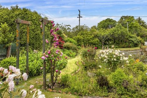 Photo of property in 79 Beach Street, Waikouaiti, 9510