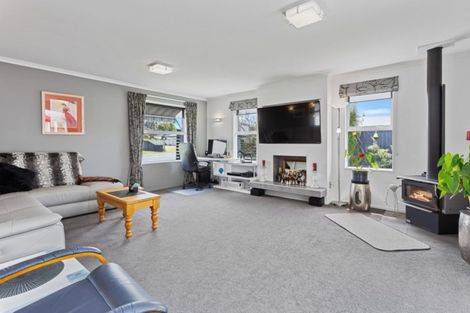 Photo of property in 22 Wineberry Avenue, Amberley, 7410