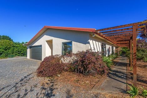 Photo of property in 250 Foxton Shannon Road, Foxton, 4893