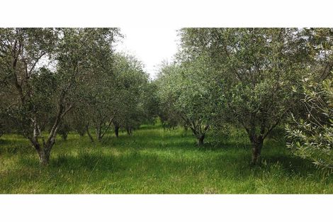 Photo of property in 4560 Pouto Road, Pouto, Te Kopuru, 0391