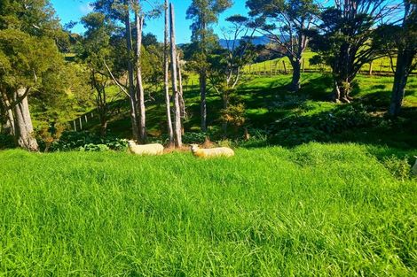 Photo of property in 110 Diggers Valley Road, Herekino, Kaitaia, 0481