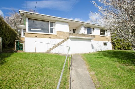 Photo of property in 491 Kaikorai Valley Road, Bradford, Dunedin, 9011