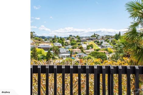 Photo of property in 1139 Cameron Road, Gate Pa, Tauranga, 3112