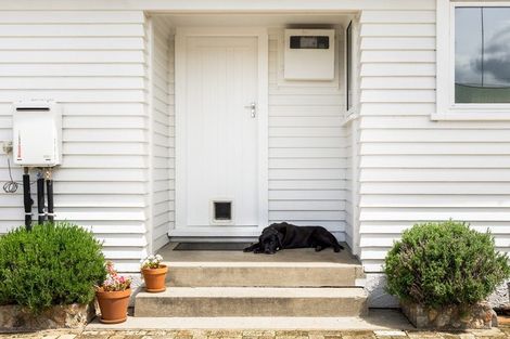 Photo of property in 53 Tennyson Street, Leamington, Cambridge, 3432