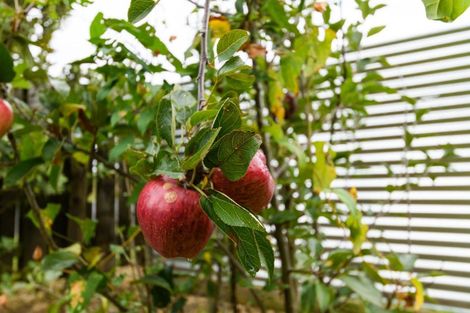 Photo of property in 25 Hunia Street, Marton, 4710