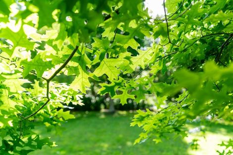 Photo of property in 14a Puriri Road, Waikanae, 5036