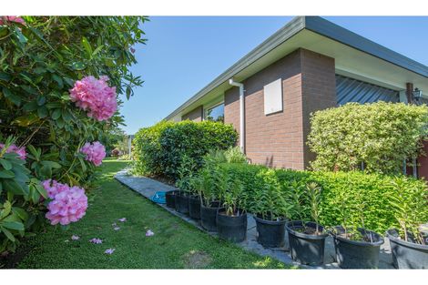 Photo of property in 111 Bowen Street, Rakaia, 7710