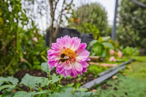 Photo of property in 63 Waipunahau Road, Waikanae, 5036