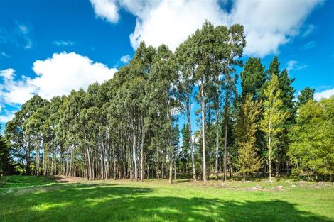 Photo of property in 107 Langdales Road, West Melton, Christchurch, 7676