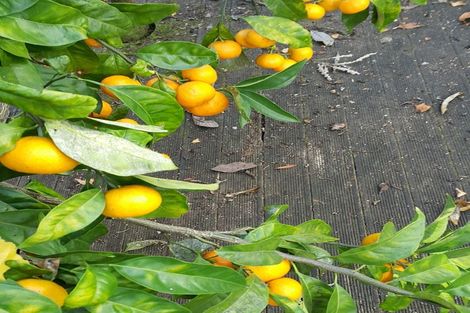 Photo of property in 9 Fowlers Avenue, Frankton, Hamilton, 3204