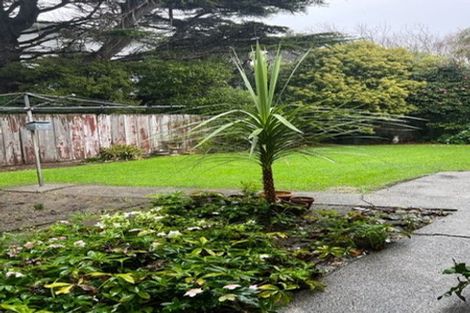 Photo of property in 8a Copeland Street, Hutt Central, Lower Hutt, 5011