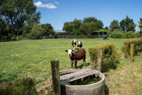 Photo of property in 4/193 Racecourse Road, Cambridge, 3493