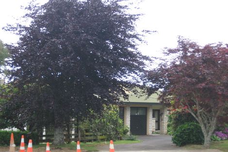 Photo of property in 6 Gerald Place, Omokoroa, 3114