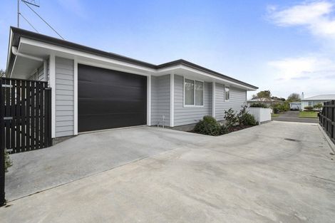 Photo of property in 33 Liverpool Street, Takaro, Palmerston North, 4412