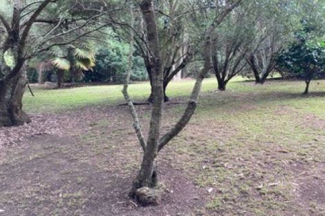 Photo of property in 11 Ron Wyatt Lane, Waiuku, 2123