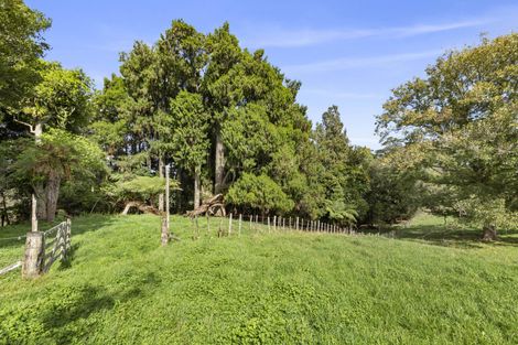 Photo of property in 66 Newton Road, Raglan, Te Mata, 3894