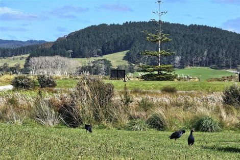 Photo of property in 116 Takapu Close, Matarangi, 3592